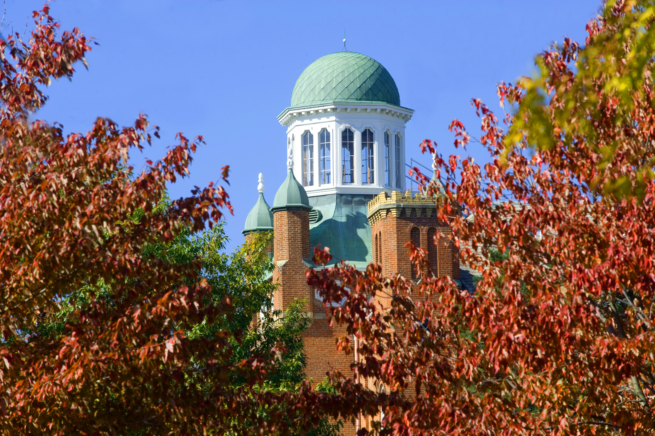 chapman hall cupola behind leaves