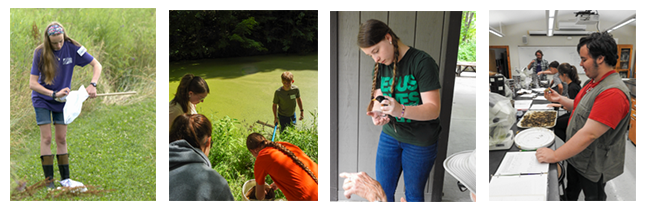 Collage of HS students during STEM program
