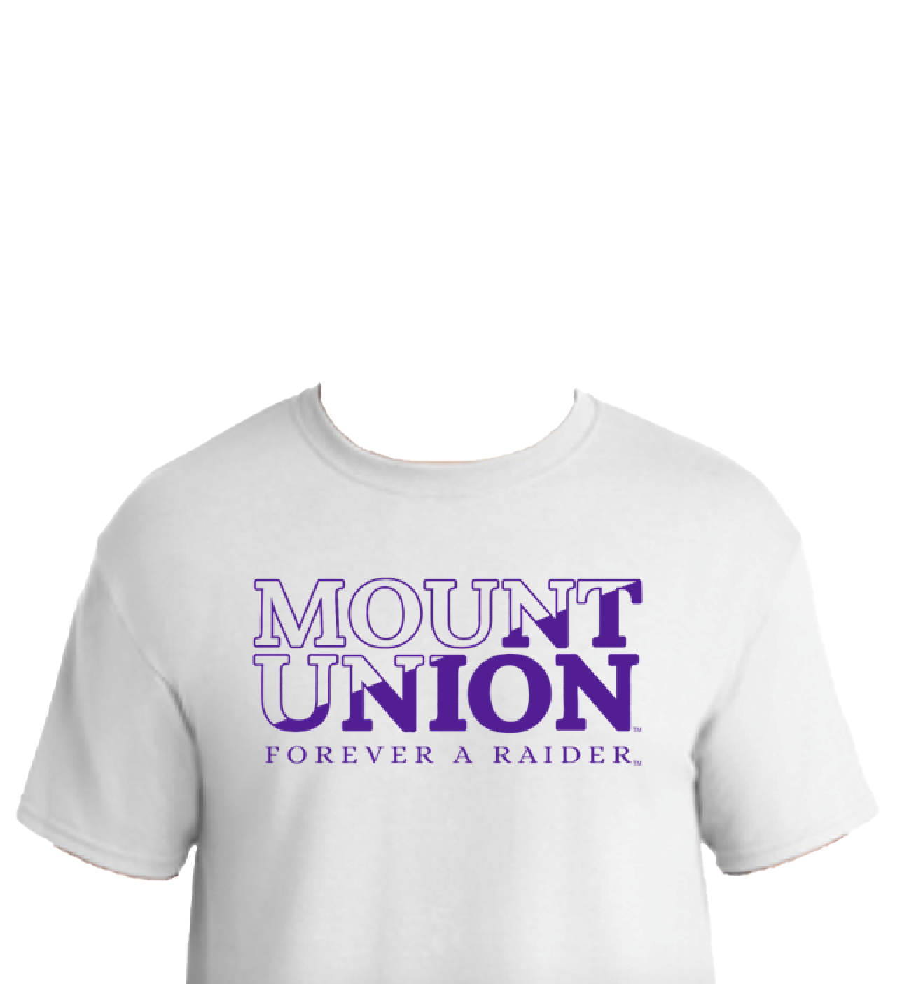 Alumni Weekend and Homecoming 2023 t-shirt Raider Family Established 1846