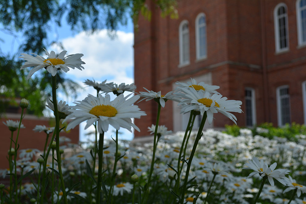 University of Mount Union Chapman Hall