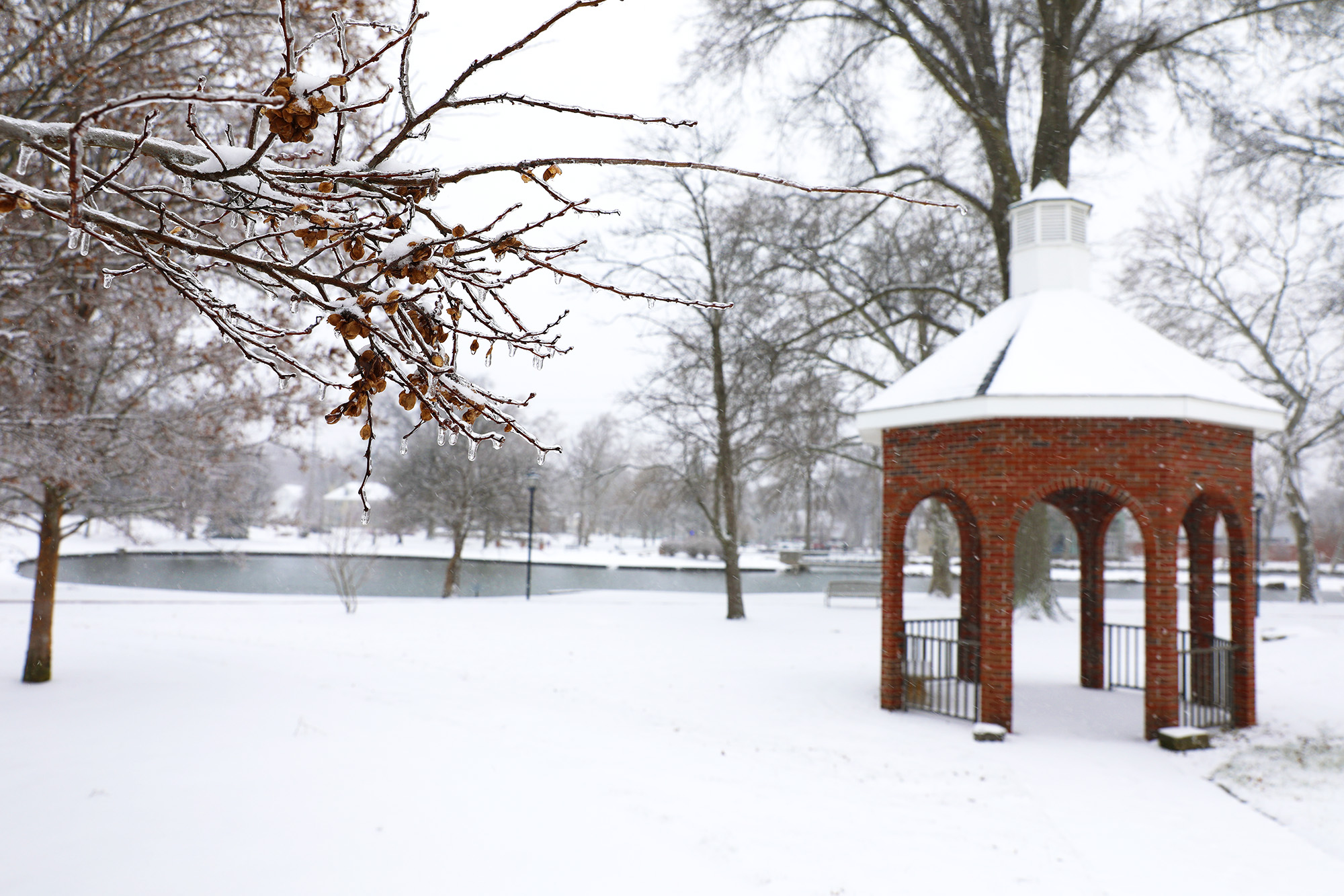 snow covered campus lakes